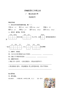 小学语文人教部编版二年级上册17 难忘的泼水节优秀练习