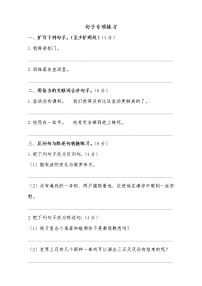 2022学年小学语文统编版六年级下册《句子》专项训练（含答案）