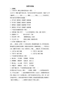 小升初专题复习+词语专项练(试题)-2021-2022学年语文六年级下册