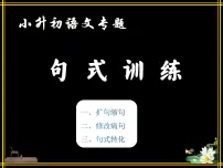 小升初专题:句式训练(扩句缩句+修改病句+句式转换)(课件)-2021-2022学年语文六年级下册