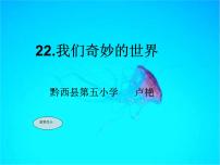 人教部编版三年级下册22 我们奇妙的世界教课课件ppt