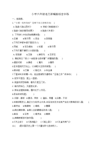 小升初语文综合训练8+试题-2022年语文六年级下册-人教部编版（无答案）