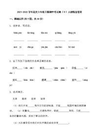 2021-2022学年语文六年级下册期中考试卷（十）人教版含答案