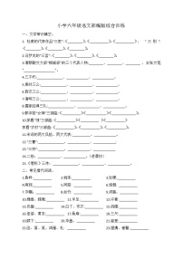 小升初语文综合训练4试题-2022年语文六年级下册-人教部编版（无答案）