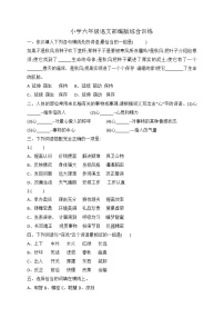 小升初语文综合训练9+试题-2022年语文六年级下册-人教部编版（无答案） (1)