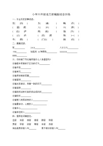 小升初语文综合训练6+试题-2022年语文六年级下册-人教部编版（无答案） (6)