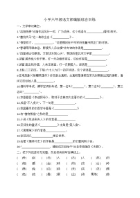小升初语文综合训练9+试题-2022年语文六年级下册-人教部编版（无答案）