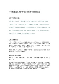 部编版二年级语文下册看图写话常考22篇范文（含答案）练习题