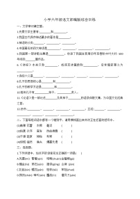 小升初语文综合训练19+试题-2021-2022学年语文六年级下册-人教部编版（无答案）