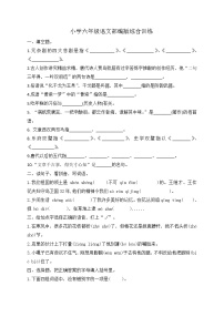 小升初语文综合训练14+试题-2022年语文六年级下册-人教部编版（无答案）
