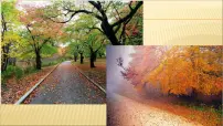 人教部编版三年级上册6 秋天的雨教课课件ppt