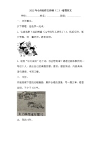 小升初作文冲刺（二）-看图作文（试题）-2021-2022学年语文六年级下册