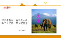 小学语文人教部编版 (五四制)二年级下册19 大象的耳朵评课ppt课件