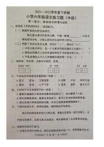 广东省东莞市2021-2022学年六年级下学期期中测评语文试卷（无答案）