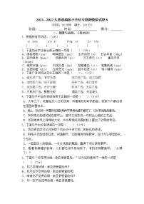 小升初专题测模拟(试题)-2021-2022学年语文六年级下册