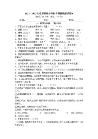 小升初专题测模拟（试题）-2021-2022学年语文六年级下册