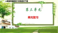 人教版统编教材六年级语文下册(第三单元)复习课件