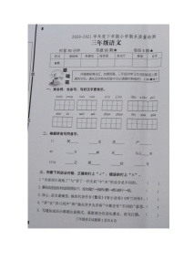 山东省临沂市沂水县2020-2021学年下学期小学期末质量检测三年级语文试题（图片版  无答案）