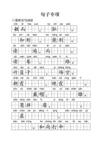 小学语文一年级下册句子专项练习（无答案）