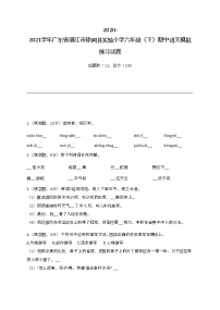 2020-2021学年广东省湛江市徐闻县实验小学六年级（下）期中语文模拟练习试卷