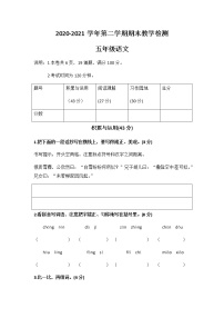 部编版五年级下册语文试题-2020-2021学年第二学期期末水平测试  （无答案）