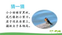 小学语文人教部编版三年级下册2 燕子优质课件ppt