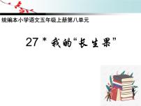 小学语文人教部编版五年级上册第八单元27* 我的“长生果”备课课件ppt