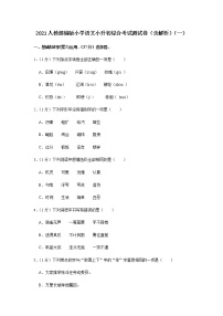 人教部编版小学语文小升初综合考试测试卷（含解析）共5套（模拟试卷）