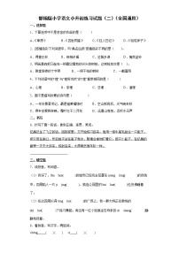 部编版小学语文小升初练习试题（二）（全国通用）