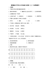 部编版小学语文小升初练习试题（三）（全国通用）