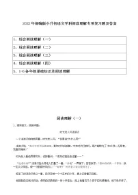 2022年部编版小升初语文学科阅读理解专项复习题及答案(含目录)
