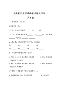 部编版小升初语文小学毕业考试模拟练习卷 3套 答案 doc