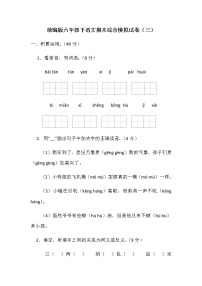 统编版六年级下语文期末综合模拟试卷（三）（含答案）