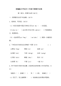 统编版小学语文三年级下册期中试卷(含答案)