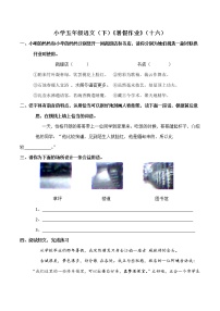 部编版小学五年级语文下册《暑假作业》（十六）（含答案）