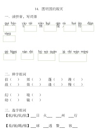 人教部编版五年级上册14 圆明园的毁灭练习题