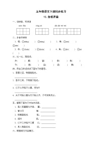 小学语文人教部编版五年级下册15 自相矛盾优秀练习