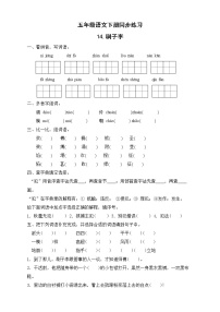 小学语文人教部编版五年级下册14 刷子李精品课后测评