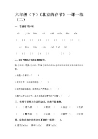 人教部编版六年级下册1 北京的春节练习