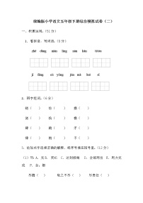 统编版小学语文五年级下册综合模拟试卷（含答案）(2)