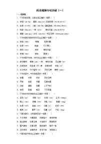 小升初字音字形单项选择专项突破（试题）部编版语文六年级下册