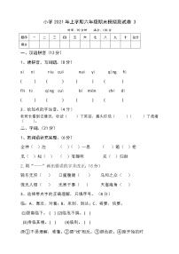 湖南小学2021年六年级毕业期末模拟测试卷3