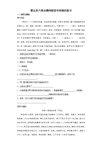 第五至八单元课内阅读专项强化练习（试题）部编版语文五年级下册（含答案）