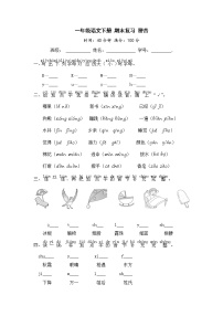 一年级语文下册 期末复习 拼音【部编版 含答案】