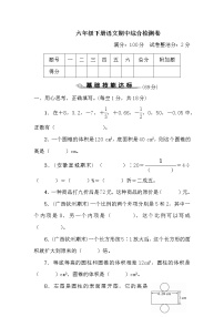 六年级下册语文期中综合检测卷