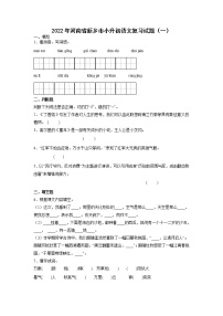 小升初模拟复习（试题）六年级下册语文部编版 (一)（含答案）