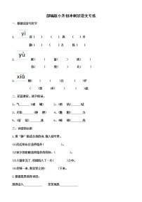 小升初冲刺专练（试题）2021-2022学年语文六年级下册