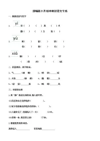 小升初冲刺专练(试题)2021-2022学年语文六年级下册