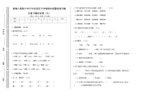 期末总复习试卷(九)(试题)部编版语文六年级下册（无答案）