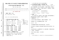 期末总复习试卷(十四)(试题)部编版语文六年级下册（无答案）